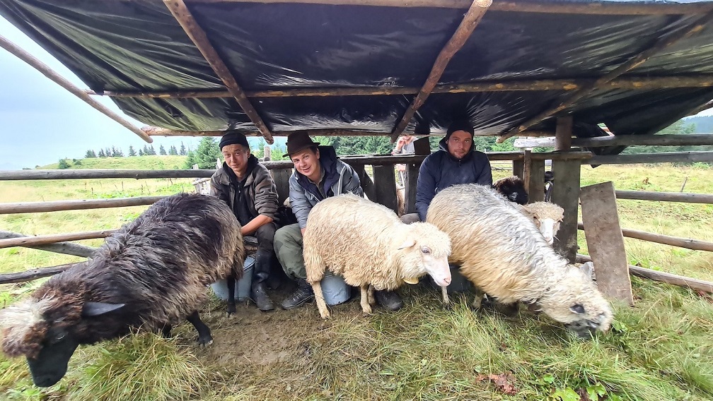 Появились первые кадры нового шоу Дмитрия Комарова ко Дню Независимости: "это символично"